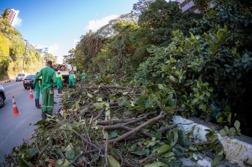 Serviço visa evitar acidentes com quem transita na via. Foto: Itawi Albuquerque/Secom Maceió