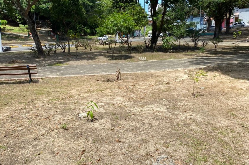 Antes e depois das ações de limpeza. Foto: Ascom Alurb