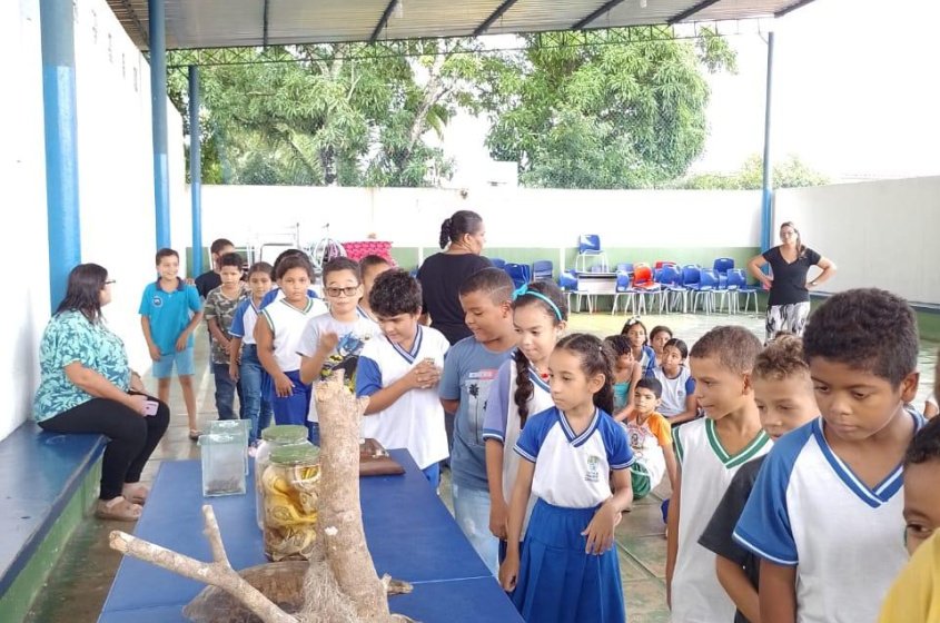 Crianças puderam conhecer de perto os animais do museu do parque. Foto: Ascom ALURB