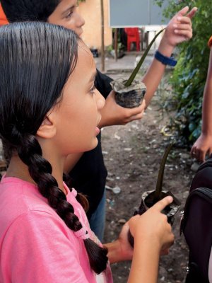 Orientações sobre o descarte correto do lixo. Foto: Ascom ALURB