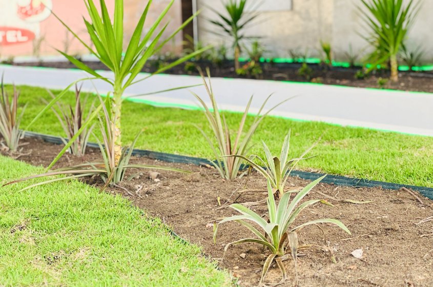 Foto: Cristalya Tavares/Ascom Alurb