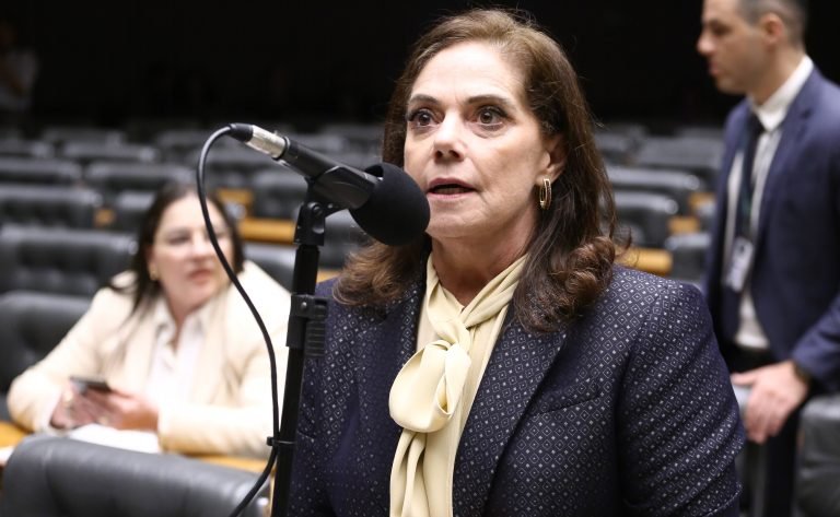 Discussão e votação de propostas legislativas. Dep. Soraya Santos (PL-RJ)