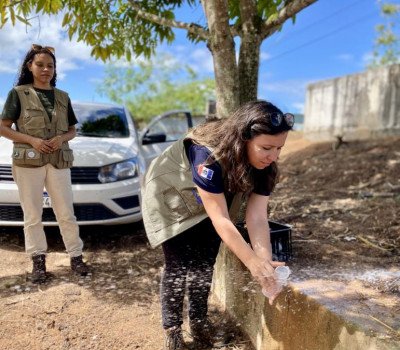  Brunno Afonso/ Ascom Sesau