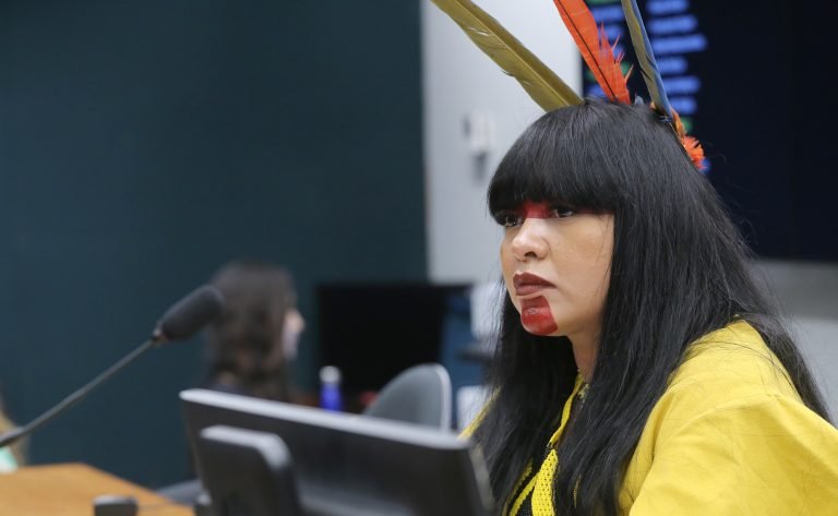 Reunião de Instalação e Eleição de Presidente e Vice-Presidentes. Dep. Célia Xakriabá (PSOL - MG)