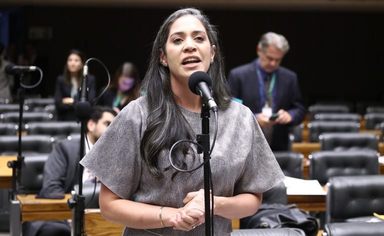 Discussão e votação de propostas legislativas. Dep. Iza Arruda (MDB - PE)