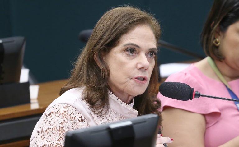 Discussão e votação de propostas legislativas. Dep. Soraya Santos (PL-RJ)