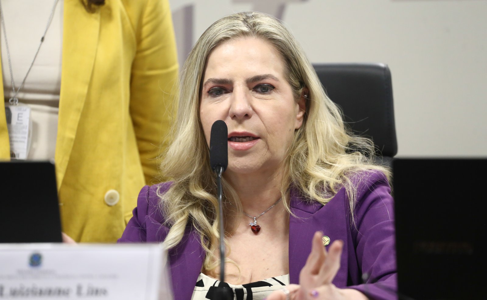 Instalação da comissão e eleição de presidente e vice-presidente. Dep. Luizianne Lins (PT - CE) Comissão Permanente Mista de Combate à Violência Contra a Mulher