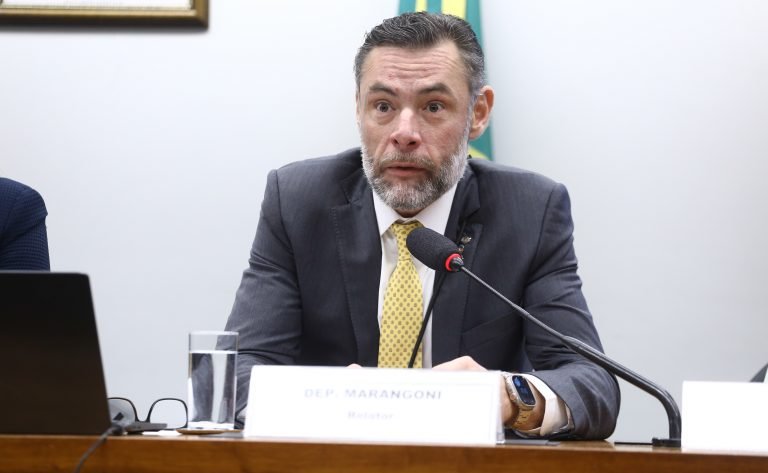 Audiência Pública - Equipes multidisciplinares e terapias integradas. Dep. Marangoni (UNIÃO-SP)