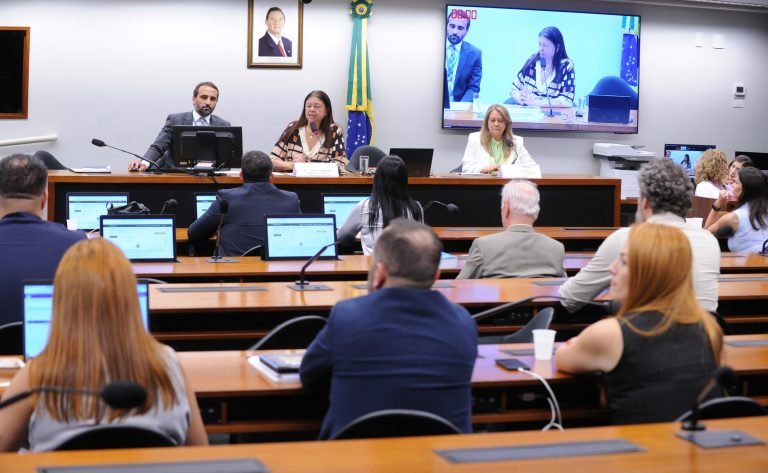 Audiência Pública - Terapias disponíveis – ABA (Análise do Comportamento Aplicada). Dep. Laura Carneiro (PSD-RJ). Conselheira do Conselho Federal de Fisioterapia e Terapia Ocupacional, Rosa Irlene.