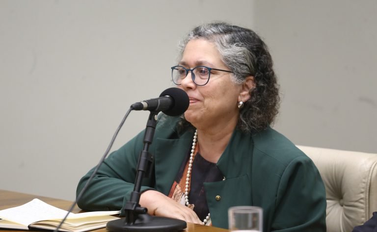 Seminário formativo sobre a COP-30. Coordenadora de Políticas Públicas do Observatório do Clima, Suely Araújo