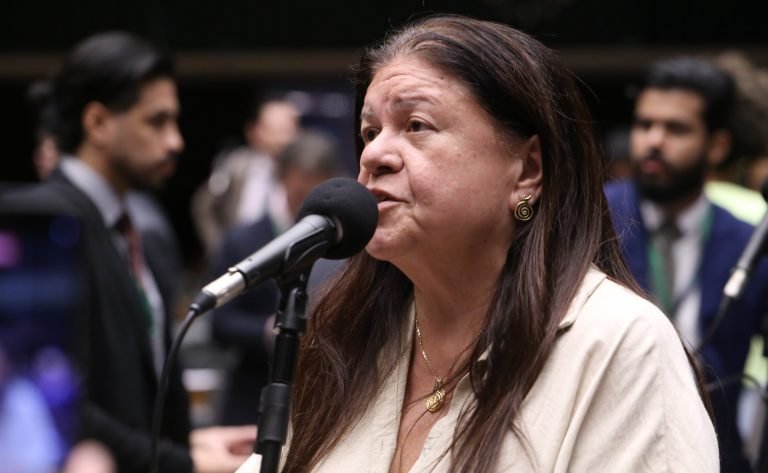 Deputada Laura Carneiro (PSD-RJ) fala no Plenário da Câmara dos Deputados