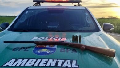 GOVERNO DE ALAGOAS - PM-AL apreende arma, aves silvestres e redes de pesca predatória no interior