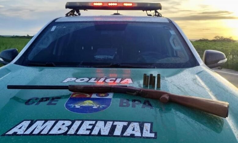GOVERNO DE ALAGOAS - PM-AL apreende arma, aves silvestres e redes de pesca predatória no interior