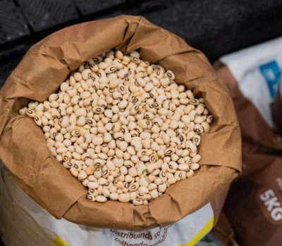 Edvan Ferreira - Agência Alagoas