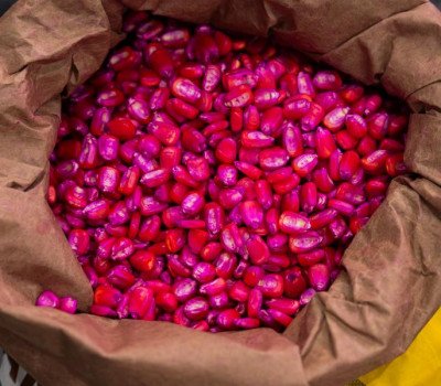 Edvan Ferreira - Agência Alagoas