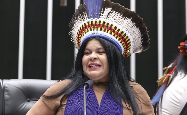 Homenagem à 22ª edição do Acampamento Terra Livre. Dep. Sonia Guajajara (PSOL - SP)