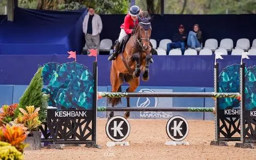 Hipismo - Zini - 2026