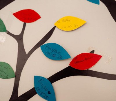 Edvan Ferreira - Agência Alagoas