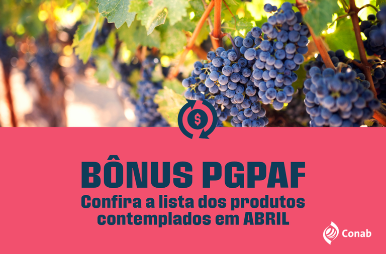 Conab amplia produtos agrícolas que têm redução nas parcelas do Pronaf