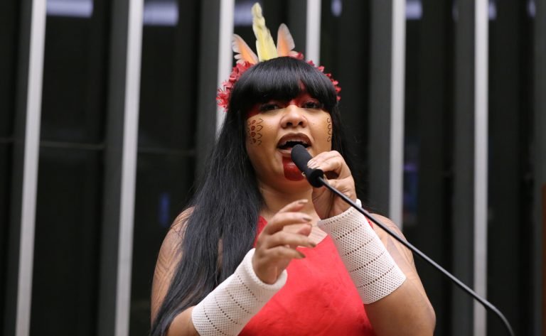 Discussão e votação de propostas legislativas. Dep. Célia Xakriabá (PSOL - MG)