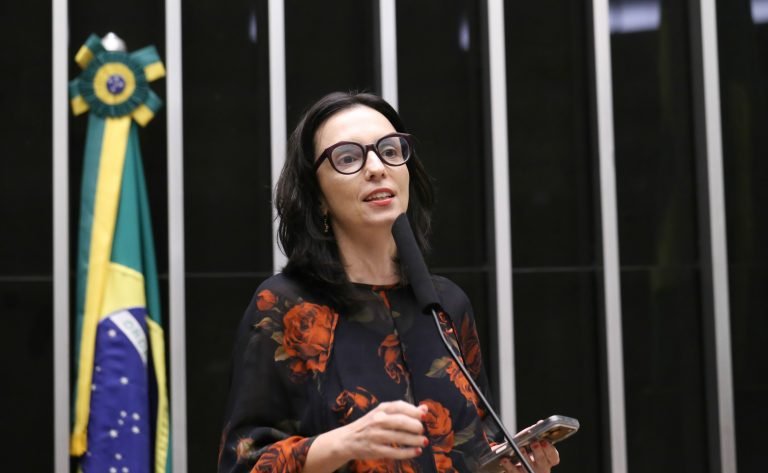 Comissão Geral sobre o Feminicídio. Dep. Ana Pimentel (PT - MG)