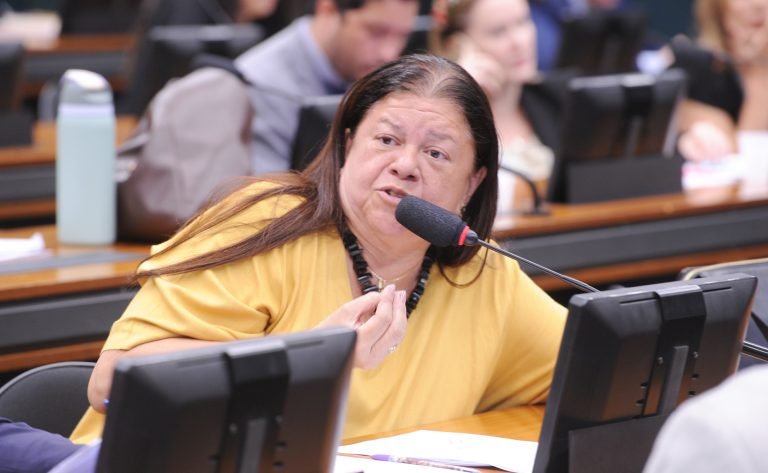 Discussão e votação de propostas legislativas. Dep. Laura Carneiro (PSD - RJ)