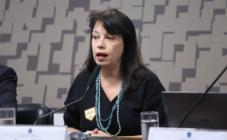 Audiência Pública - ECA Digital e demais projetos de proteção à criança e adolescente no ambiente digital, sob o ponto de vista da sociedade civil. Coordenadora do Comitê Gestor da Internet no Brasil (CGI.br), Renata Mielli.