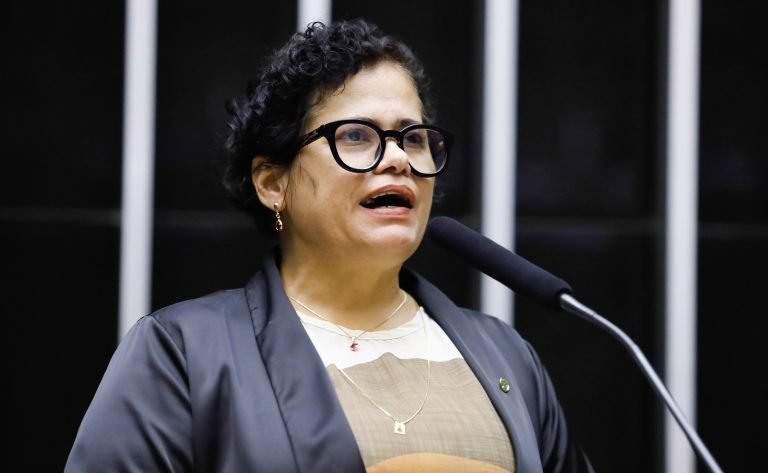Discussão e votação de propostas legislativas. Dep. Elisangela Araujo (PT - BA)