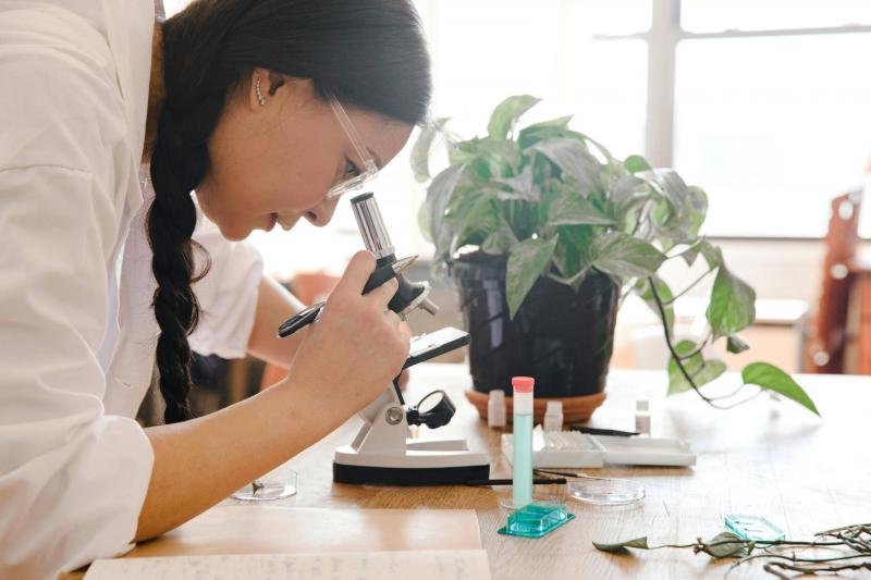 Alagoas investe r$6 milhões em iniciação científica para o ensino médio