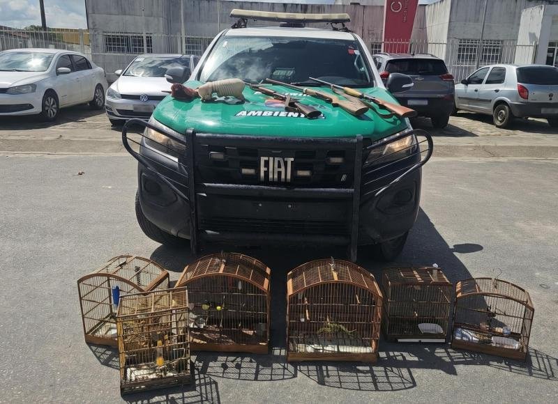 Pm-al apreende animais silvestres e armas em operação contra crimes ambientais no litoral norte