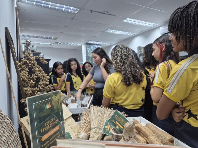 Alunos de alagoas exploram flora local em visita ao herbário mac