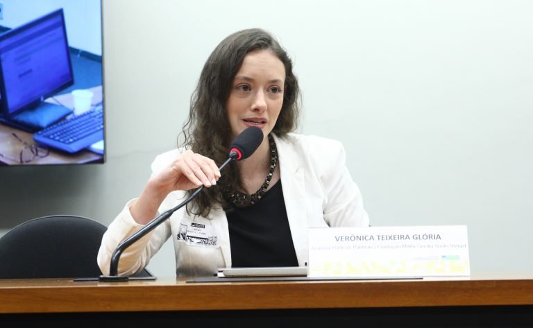 Audiência Pública - 10 anos do Marco Legal da Primeira Infância. Analista de Políticas Públicas - Fundação Maria Cecília Souto Vidigal, Verônica Teixeira Glória.