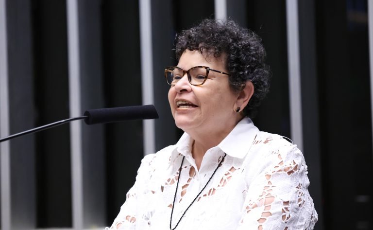 Homenagem ao Dia Internacional da Enfermagem. Presidente da Federação Nacional dos Enfermeiros - FNE, Solange Caetano.