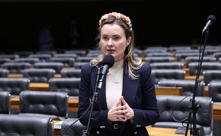 Discussão e votação de propostas legislativas. Dep. Julia Zanatta (PL-SC)