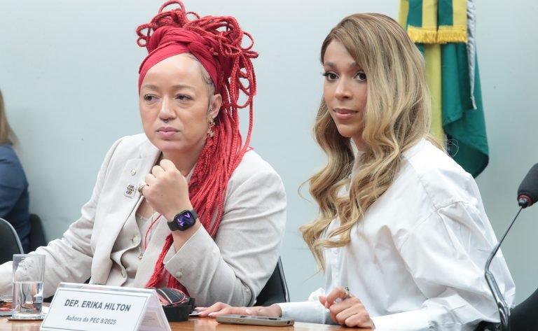 Audiência Pública - Escuta de representantes de entidades sindicais e movimentos sociais. Dep. Daiana Santos (PCdoB - RS). Dep. Erika Hilton (PSOL - SP)