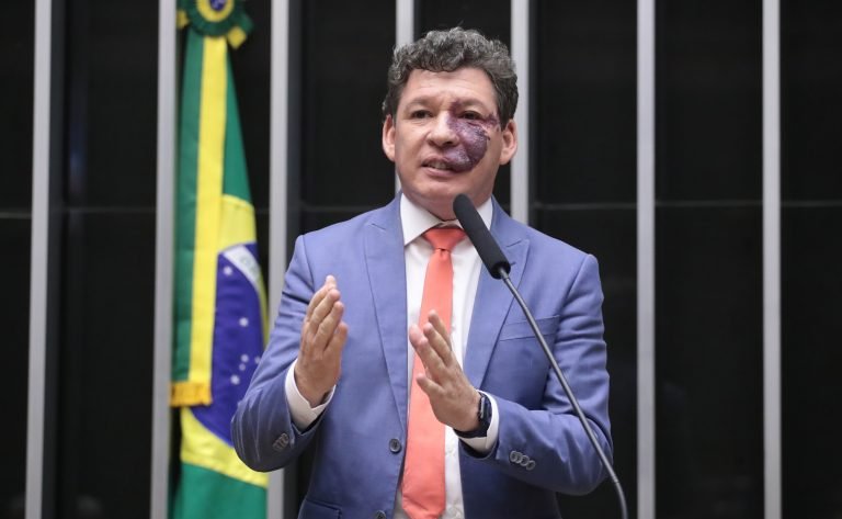 Discussão e votação de propostas legislativas. Dep. Reginaldo Lopes (PT-MG)