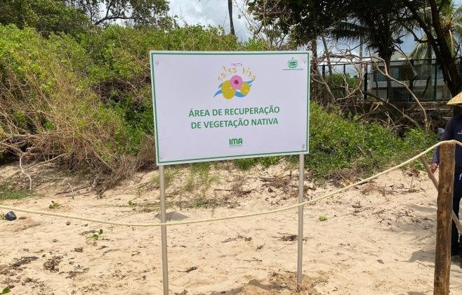 Instituto do Meio Ambiente de Alagoas cria padronização para placas ambientais