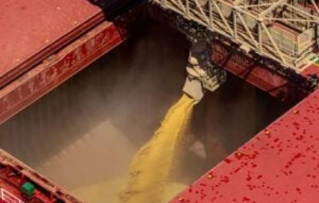 Exportações de Soja e Farelo do Brasil Aumentam em Maio