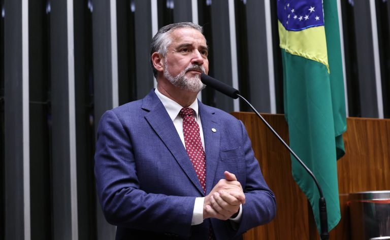 Discussão e votação de propostas legislativas. Dep. Paulo Pimenta (PT - RS)