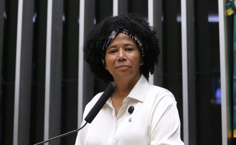 Discussão e votação de propostas legislativas. Dep. Silvia Cristina (PP-RO)