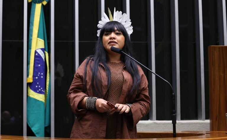 Discussão e votação de propostas legislativas. Dep. Célia Xakriabá (PSOL-MG)