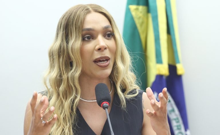 Deputada Erika Hilton (Psol-SP) fala em comissão da Câmara dos Deputados