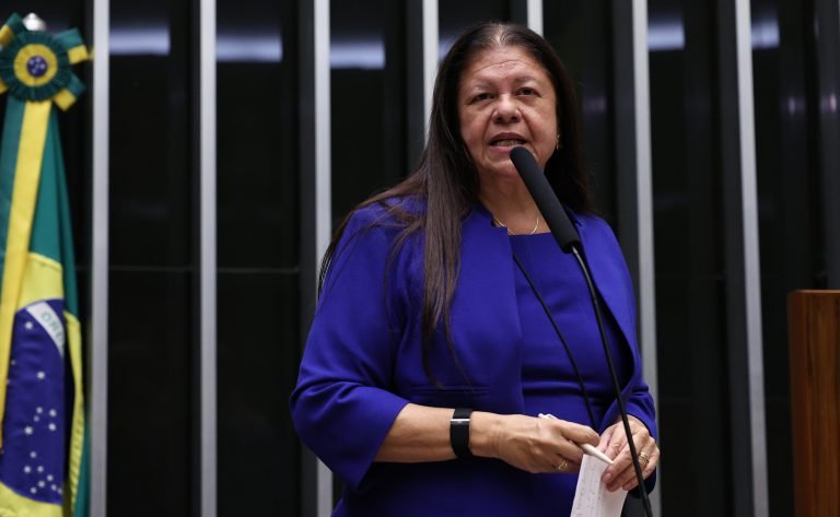 Discussão e votação de propostas legislativas. Dep. Laura Carneiro (PSD-RJ)