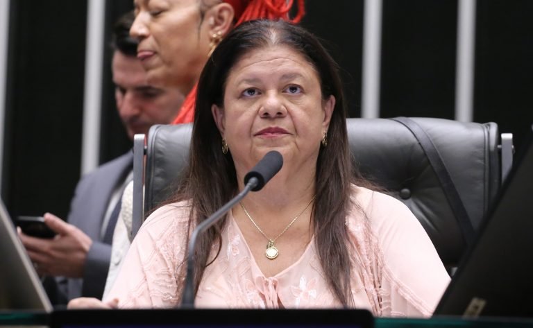 Discussão e votação de propostas legislativas. Dep. Laura Carneiro (PSD-RJ)