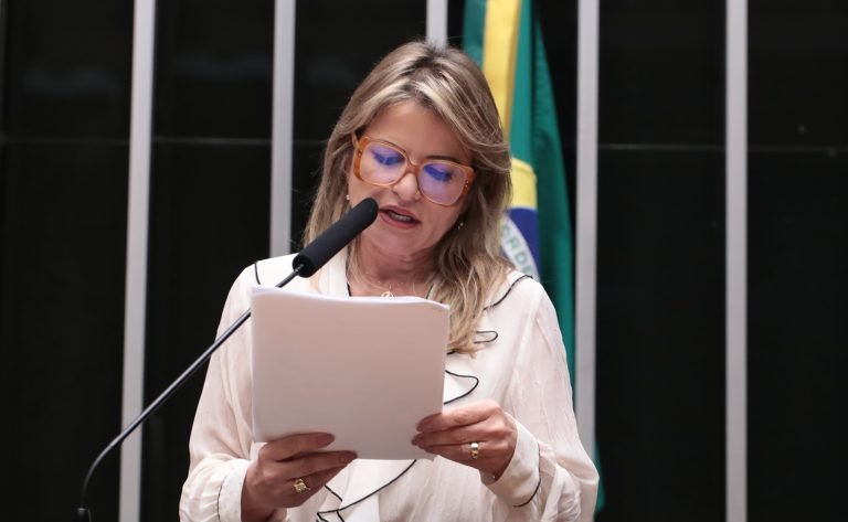 Discussão e votação de propostas legislativas. Dep. Flávia Morais (PDT - GO)