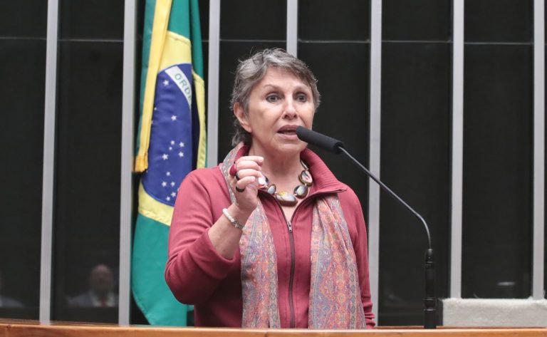 Discussão e votação de propostas legislativas. Dep. Erika Kokay (PT - DF)