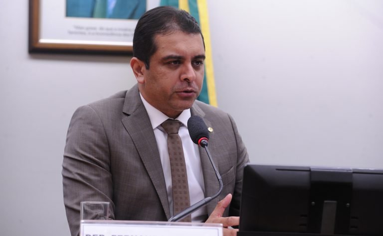 Apresentação do Plano de Trabalho do Coordenador. Dep. Fernando Rodolfo (PRD - PE)