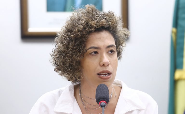 Audiência Pública - Subsídios públicos destinados à geração de energia a partir do carvão. Dep. Talíria Petrone (PSOL - RJ)