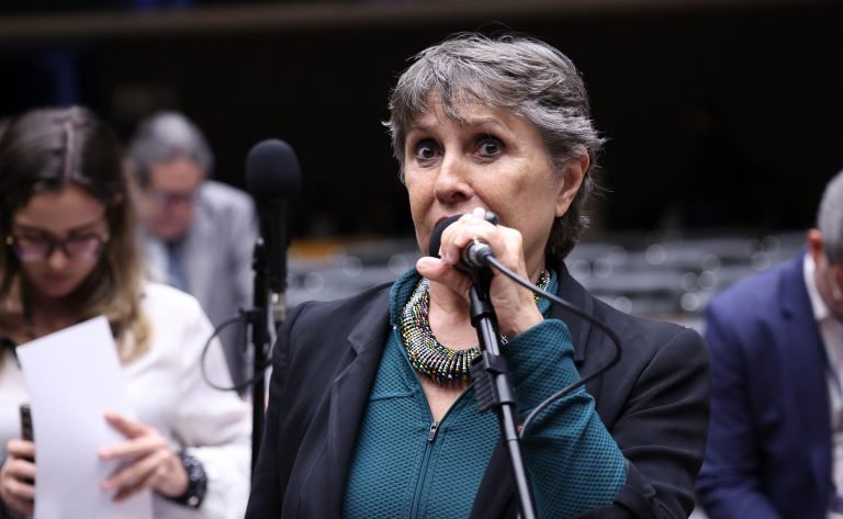 Discussão e votação de propostas legislativas. Dep. Erika Kokay (PT - DF)