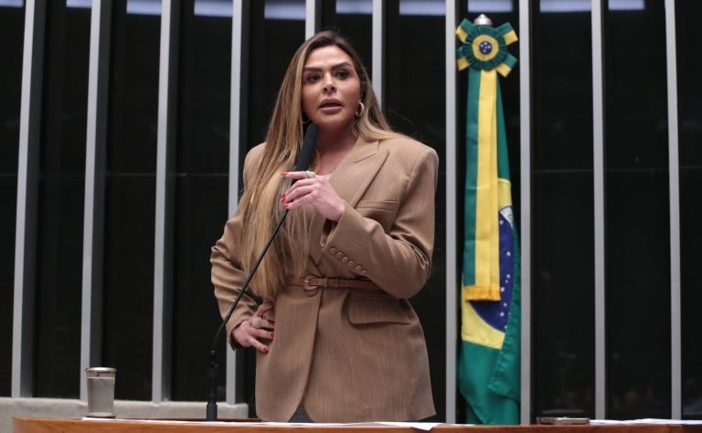 Discussão e votação de propostas legislativas. Dep. Silvye Alves (UNIÃO - GO)